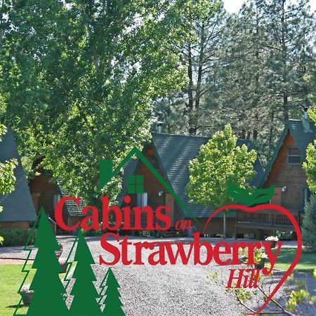 Cabins On Strawberry Hill Hotel Pine Exterior photo